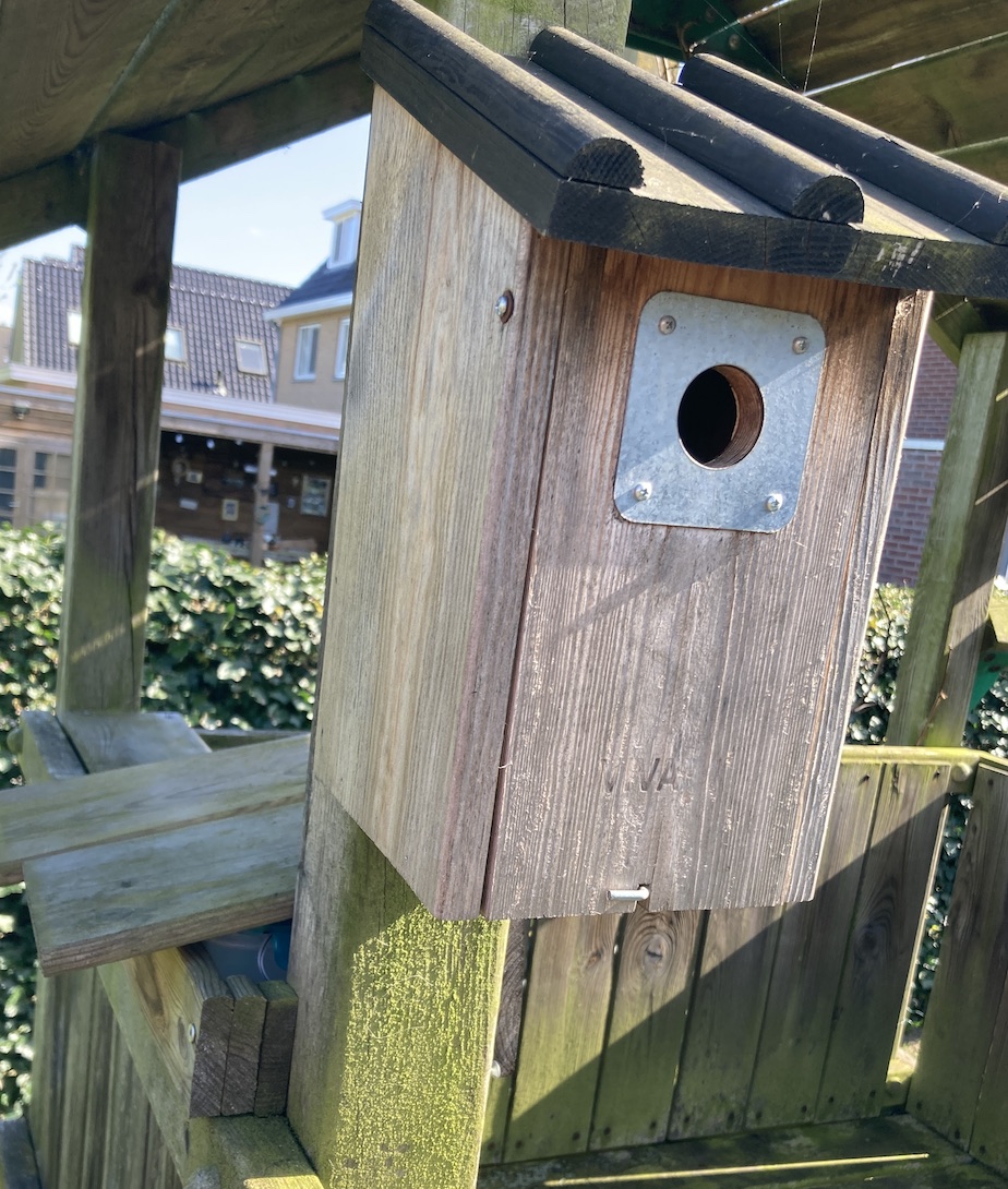birdhouse mounted